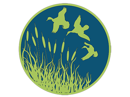 Friends of Carlisle Parks