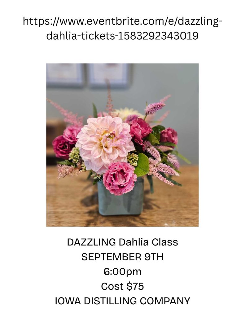 A pink dahlia and roses arranged in a blue vase sit on a wooden table. Text above gives event details for a "DAZZLING Dahlia Class" on September 9th at 6:00pm, costing $75, at Iowa Distilling Company.