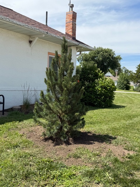 New Addition to the Carlisle Chamber Park